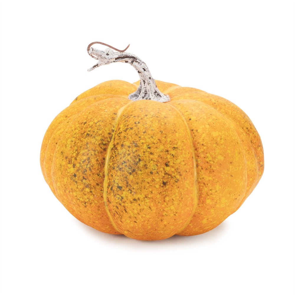 Set of Two Orange And Green Plastic Pumpkin Thanksgiving Pumpkin Tabletop Sculpture HomeRoots