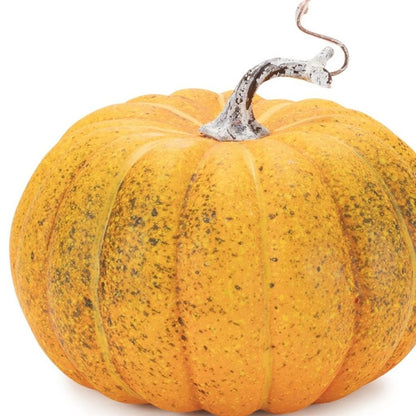 Set of Two Orange And Green Plastic Pumpkin Thanksgiving Pumpkin Tabletop Sculpture HomeRoots
