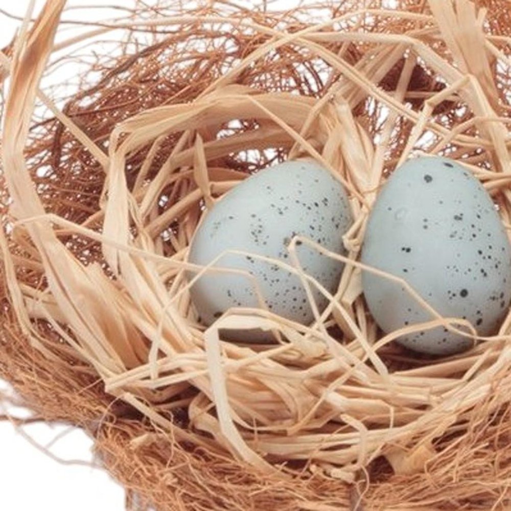 Set of Eight Brown And Blue Decorative Birds Nests With Eggs Sculptures HomeRoots