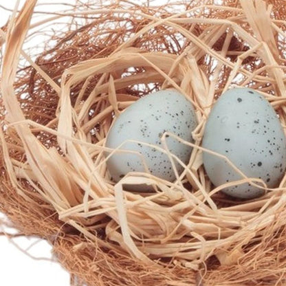 Set of Eight Brown And Blue Decorative Birds Nests With Eggs Sculptures HomeRoots
