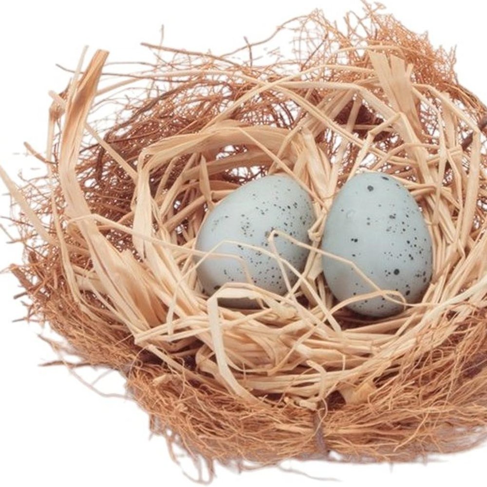 Set of Eight Brown And Blue Decorative Birds Nests With Eggs Sculptures HomeRoots