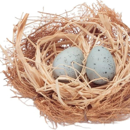 Set of Eight Brown And Blue Decorative Birds Nests With Eggs Sculptures HomeRoots