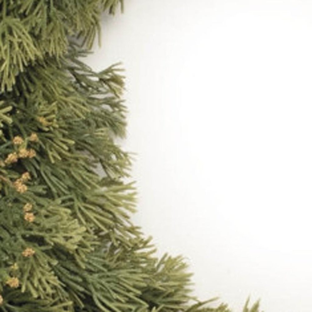 22" Green And Brown Christmas Pine Artificial Wreath HomeRoots