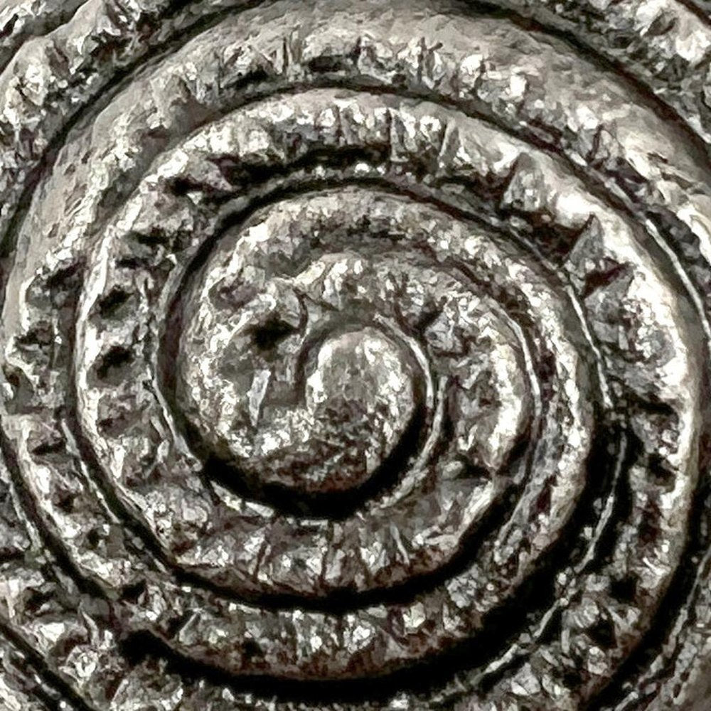 Set of Six Silver Novelty Knob Seashell Cast Aluminum Drawer Pull Knobs HomeRoots