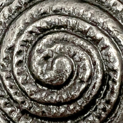 Set of Six Silver Novelty Knob Seashell Cast Aluminum Drawer Pull Knobs HomeRoots