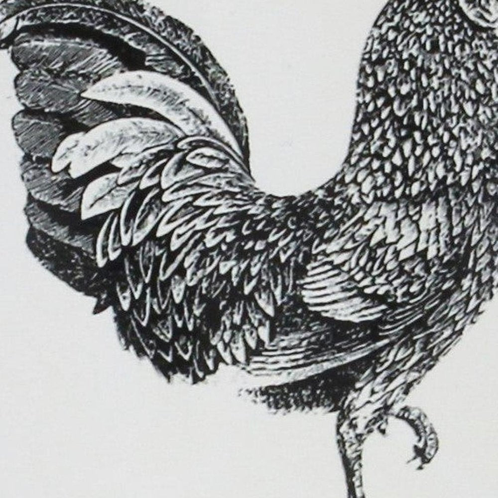 8" Black And White Metal Farm Fresh Chicken Decorative Jug HomeRoots