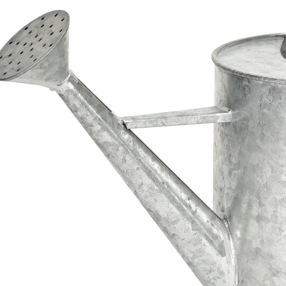 9" Gray Galvanized Metal Decorative Watering Can HomeRoots
