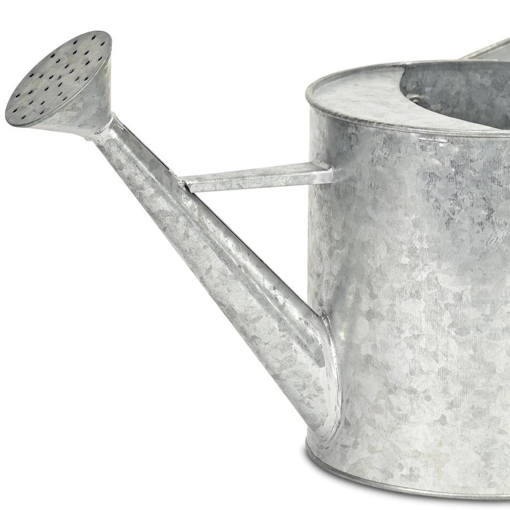 9" Gray Galvanized Metal Decorative Watering Can HomeRoots