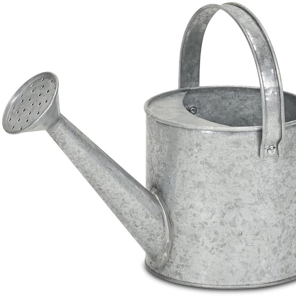 7" Gray Galvanized Metal Decorative Watering Can HomeRoots