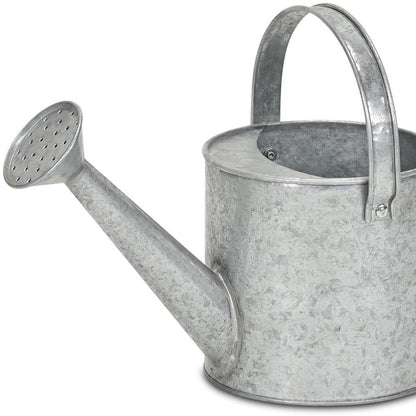7" Gray Galvanized Metal Decorative Watering Can HomeRoots