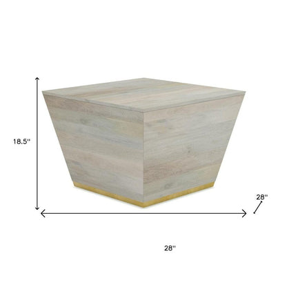19" White and Brass Solid Wood Square Block End Table HomeRoots