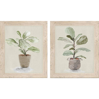 Set Of Two Fiddle Fig Tree Brown Framed Wall Art HomeRoots