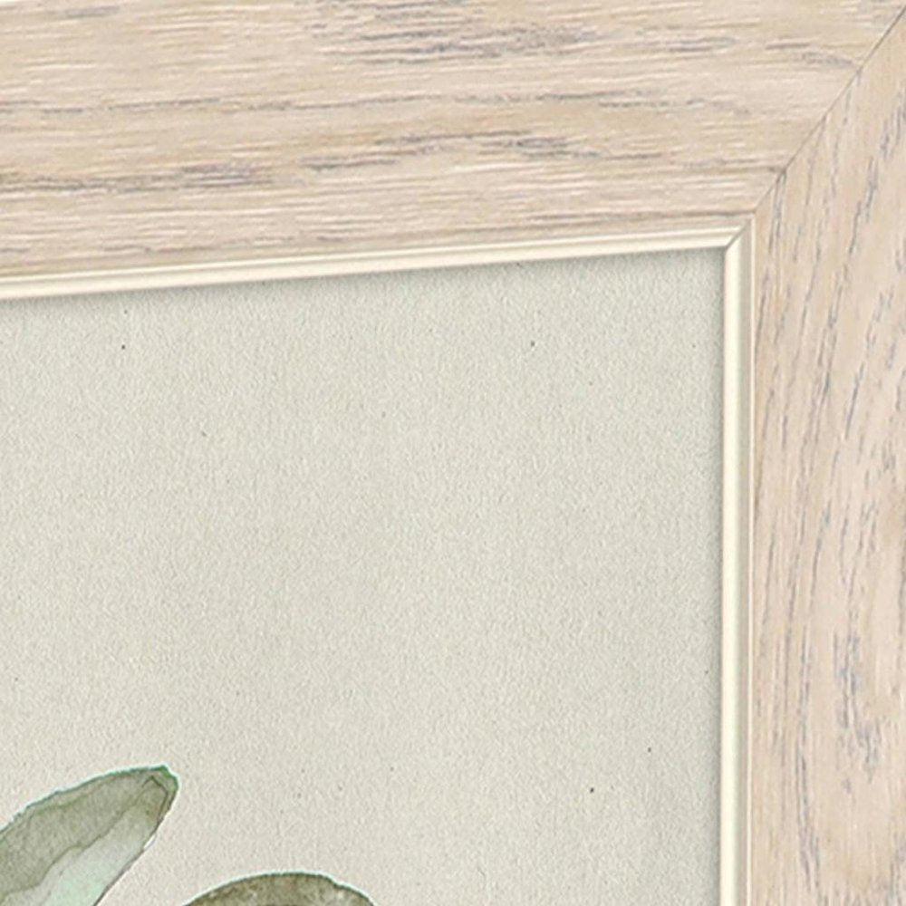 Set Of Two Fiddle Fig Tree Brown Framed Wall Art HomeRoots