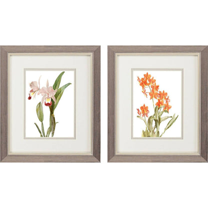 Set Of Two Floral Beauty I Silver Framed Wall Art HomeRoots