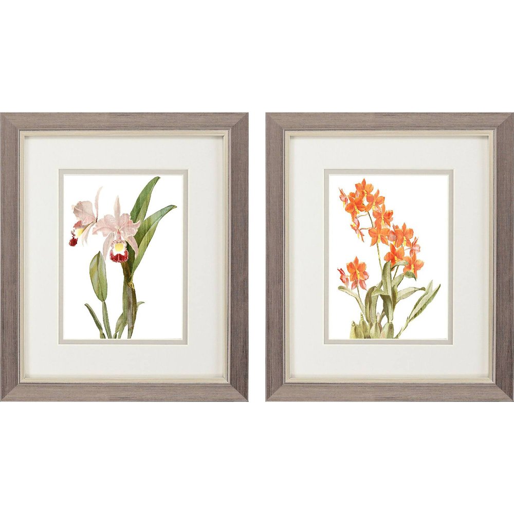 Set Of Two Floral Beauty I Silver Framed Wall Art — view 1