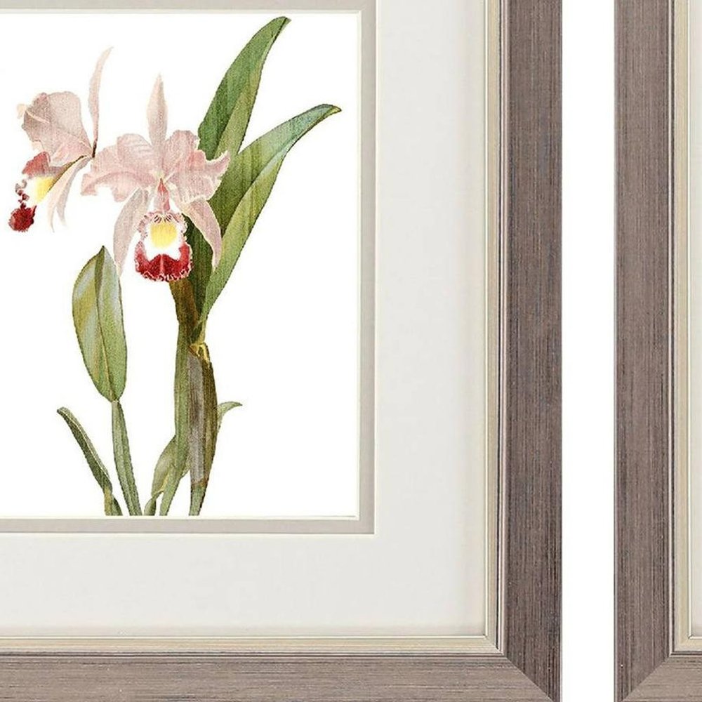Set Of Two Floral Beauty I Silver Framed Wall Art HomeRoots