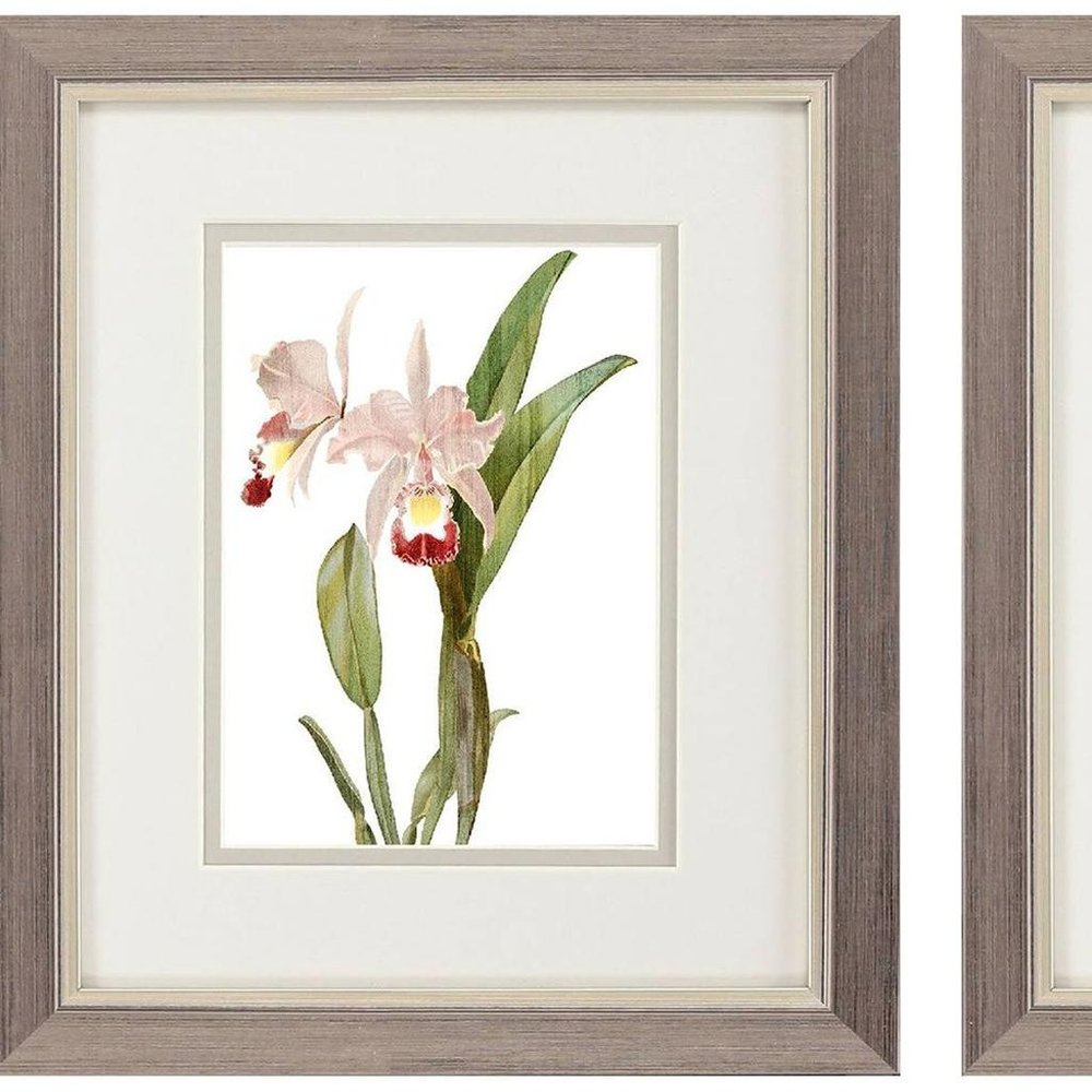 Set Of Two Floral Beauty I Silver Framed Wall Art HomeRoots