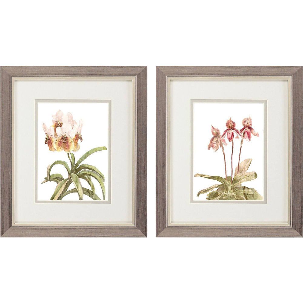Set Of Two Floral Beauty II Silver Framed Wall Art HomeRoots