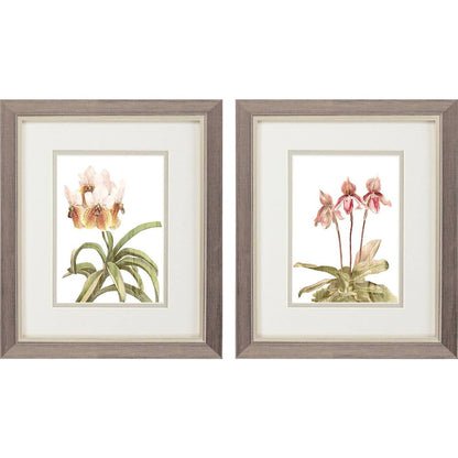 Set Of Two Floral Beauty II Silver Framed Wall Art HomeRoots