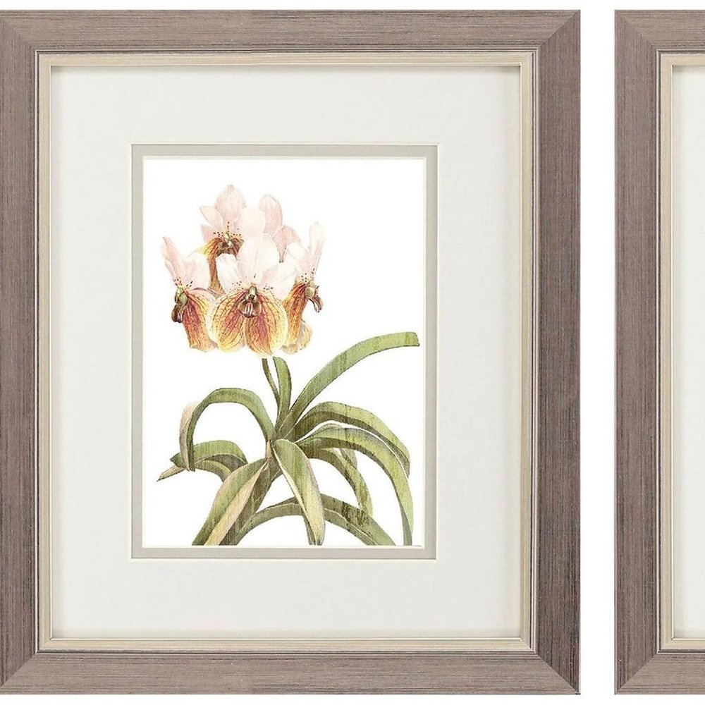 Set Of Two Floral Beauty II Silver Framed Wall Art HomeRoots
