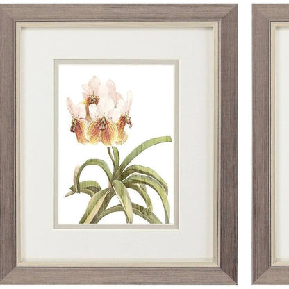 Set Of Two Floral Beauty II Silver Framed Wall Art HomeRoots