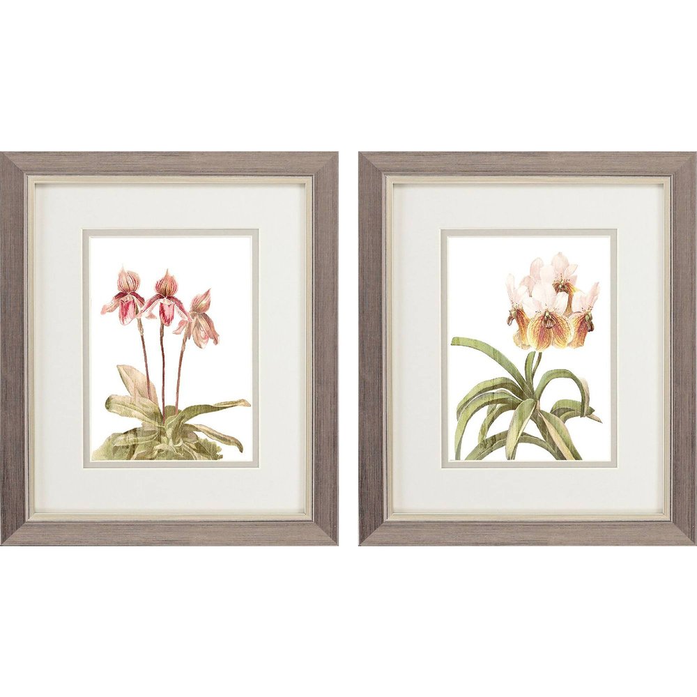 Set Of Two Floral Beauty II Silver Framed Wall Art HomeRoots