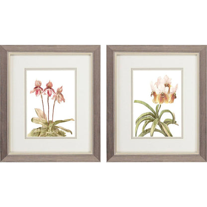 Set Of Two Floral Beauty II Silver Framed Wall Art HomeRoots