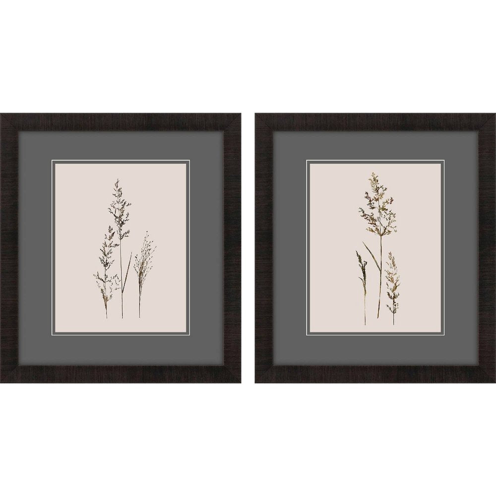 Set Of Two Delicate Stems Brown Framed Wall Art HomeRoots