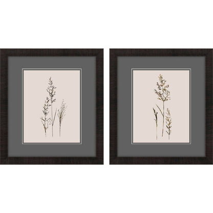 Set Of Two Delicate Stems Brown Framed Wall Art HomeRoots
