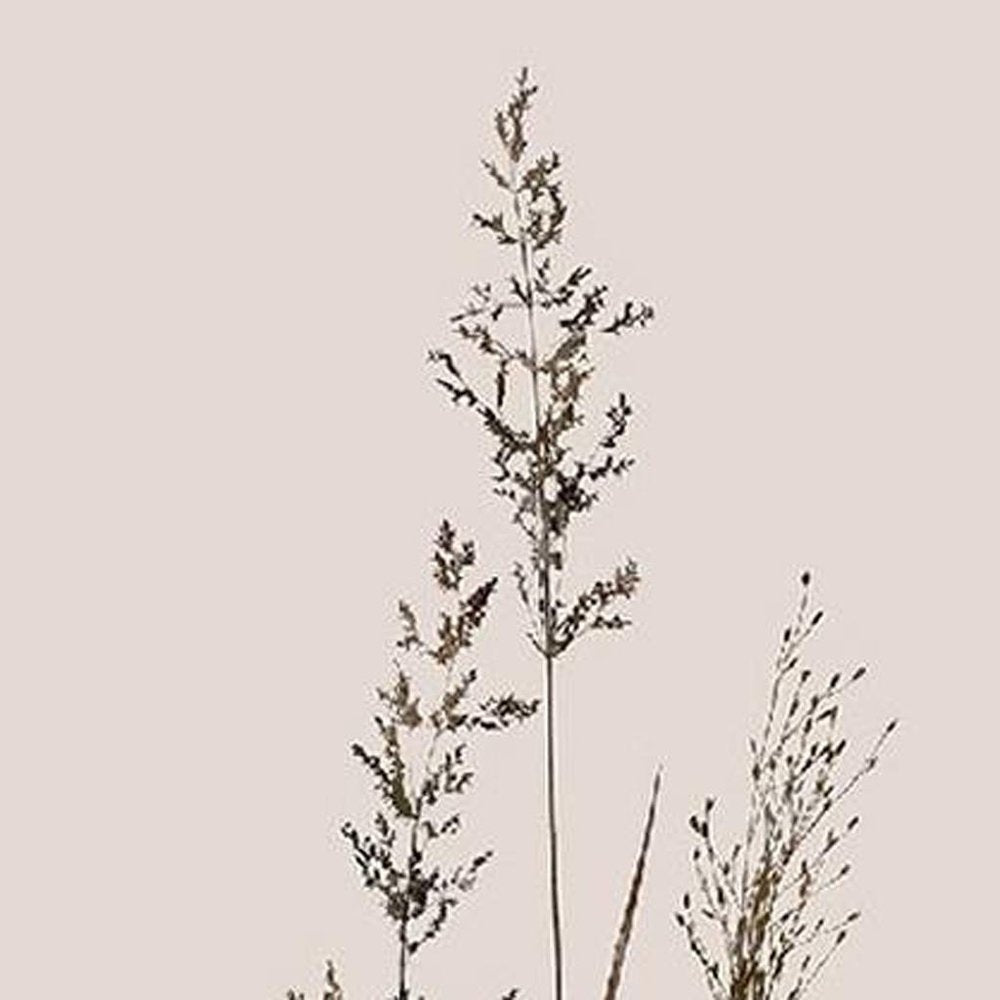 Set Of Two Delicate Stems Brown Framed Wall Art HomeRoots