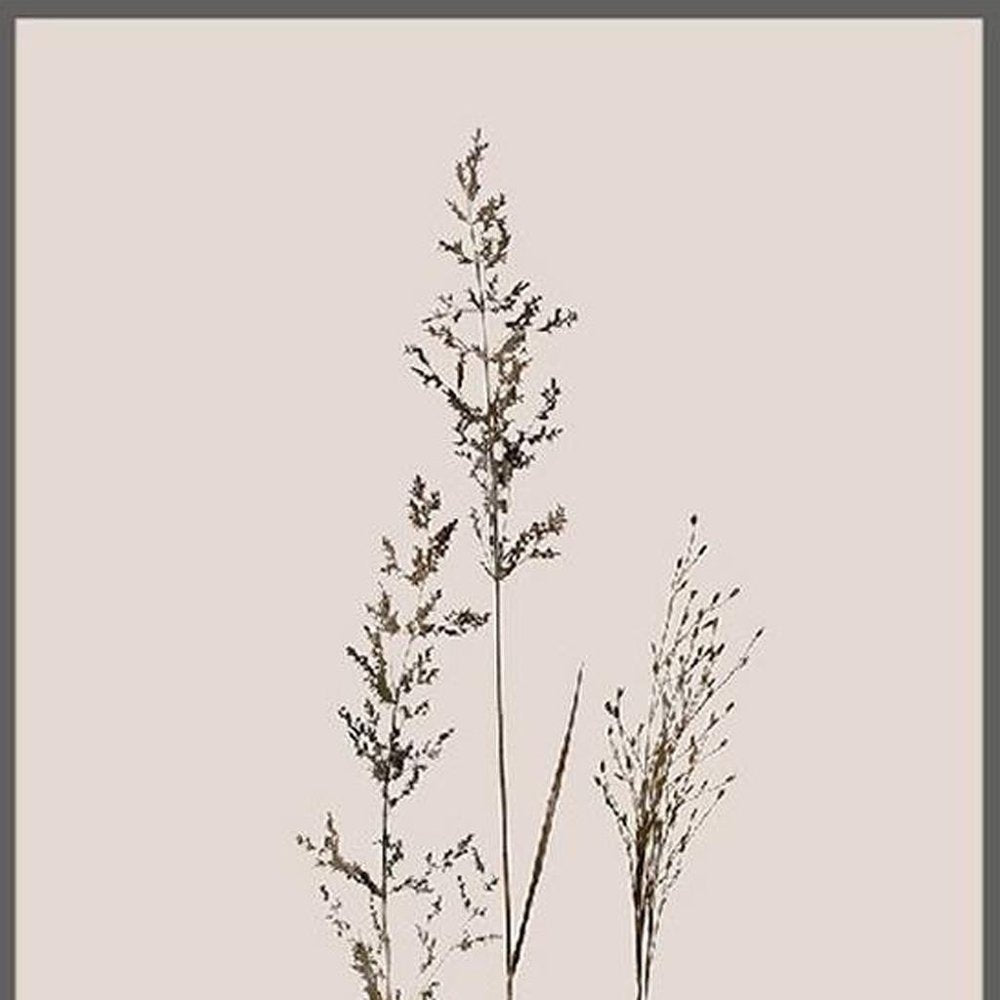 Set Of Two Delicate Stems Brown Framed Wall Art HomeRoots