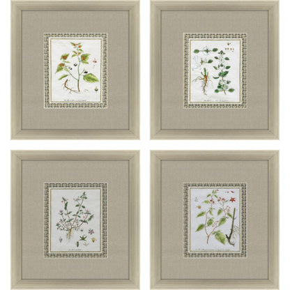 Set Of Four La Passerage II Silver Framed Wall Art HomeRoots