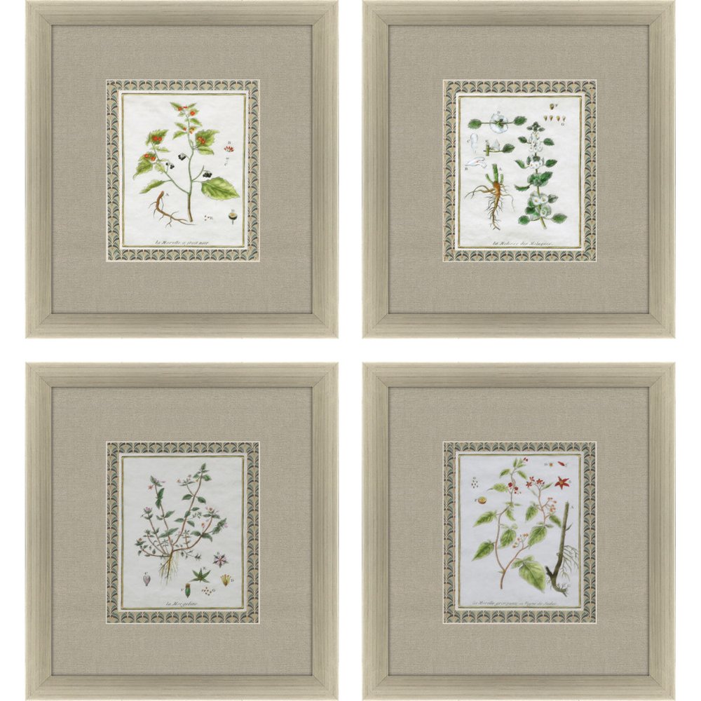 Set Of Four La Passerage II Silver Framed Wall Art HomeRoots