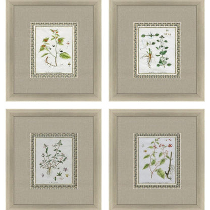 Set Of Four La Passerage II Silver Framed Wall Art HomeRoots