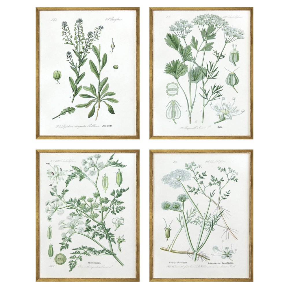 Set Of Four Assemblage Gold Framed Wall Art HomeRoots