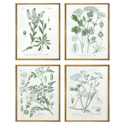 Set Of Four Assemblage Gold Framed Wall Art HomeRoots