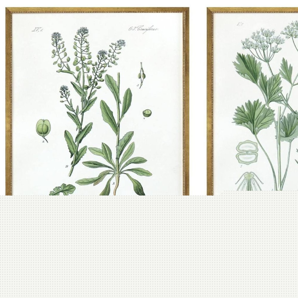 Set Of Four Assemblage Gold Framed Wall Art HomeRoots