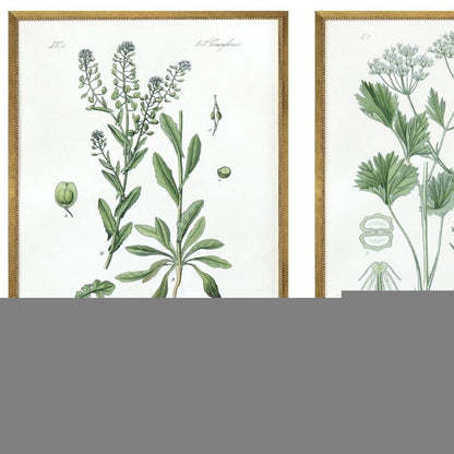 Set Of Four Assemblage Gold Framed Wall Art HomeRoots