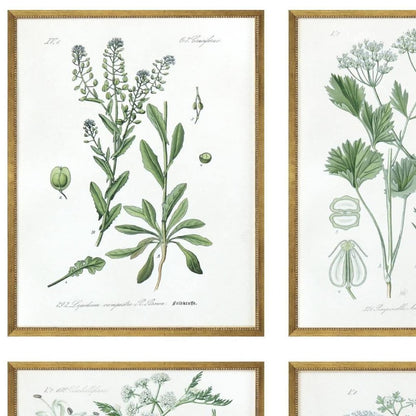 Set Of Four Assemblage Gold Framed Wall Art HomeRoots