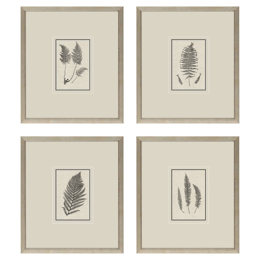 Set Of Four Petite Ferns Gold Framed Wall Art HomeRoots