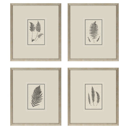 Set Of Four Petite Ferns Gold Framed Wall Art HomeRoots