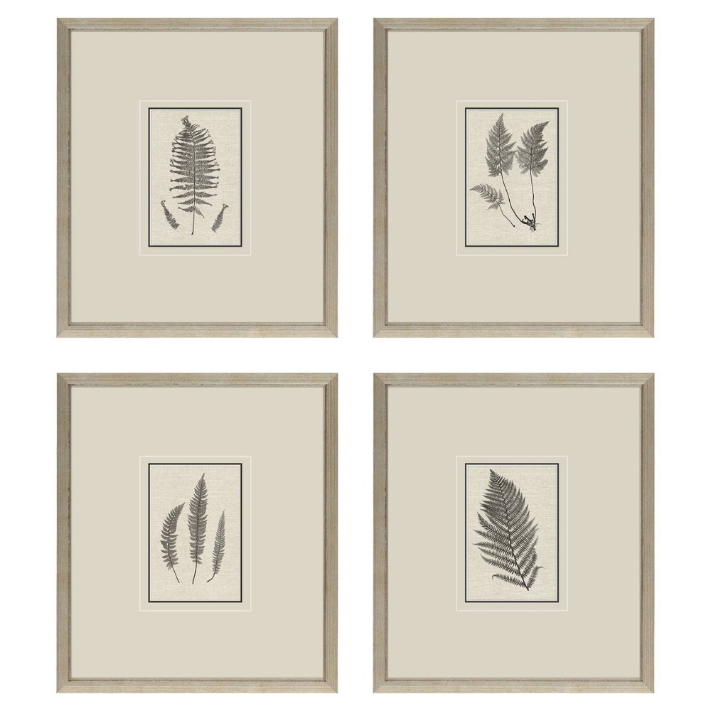 Set Of Four Petite Ferns Gold Framed Wall Art HomeRoots