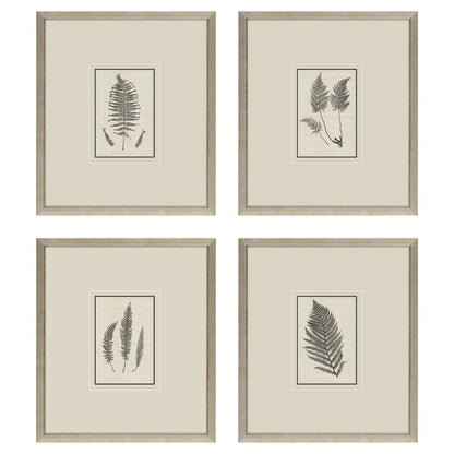 Set Of Four Petite Ferns Gold Framed Wall Art HomeRoots