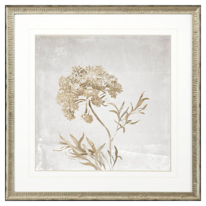 Delicate Beauty II Silver Framed Wall Art HomeRoots