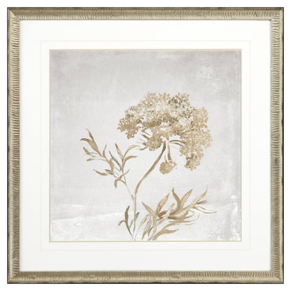 Delicate Beauty II Silver Framed Wall Art HomeRoots