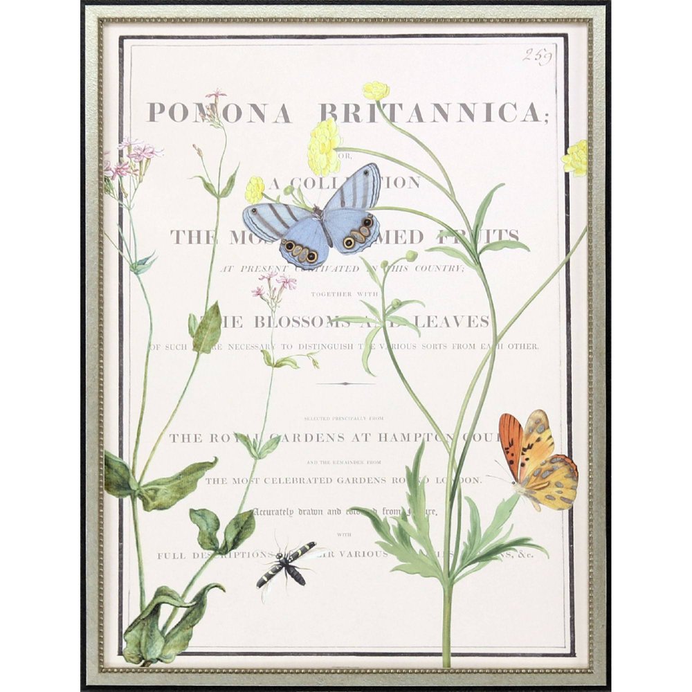 Ephemeral Bloom Silver Framed Wall Art HomeRoots