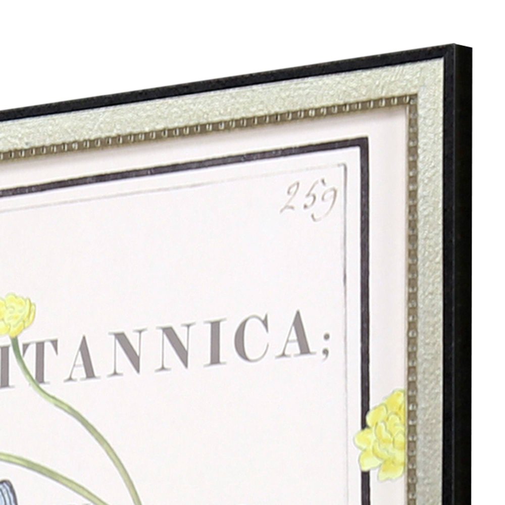 Ephemeral Bloom Silver Framed Wall Art HomeRoots