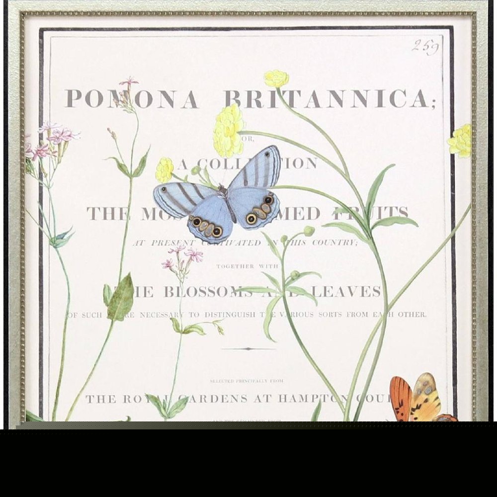 Ephemeral Bloom Silver Framed Wall Art HomeRoots