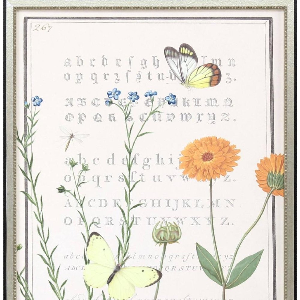 Ephemeral Flourish Silver Framed Wall Art HomeRoots
