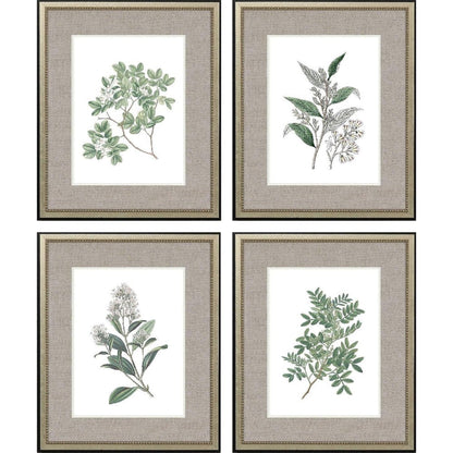 Set Of Four White Flowers Silver Framed Wall Art HomeRoots